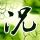 一比一原版千岁科技大学文凭学位【degxx.com】